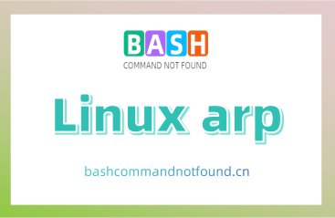Linux arp命令教程：如何查看和管理ARP缓存（附实例教程和注意事项）