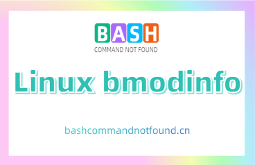 Linux bmodinfo命令教程：如何显示模块信息（附实例详解和注意事项）
