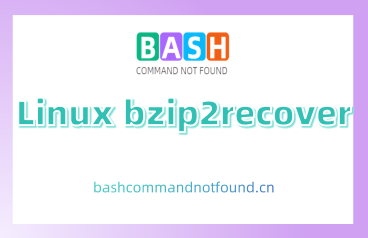 Linux bzip2recover命令教程：如何修复损坏的.bz2文件（附实例和注意事项）