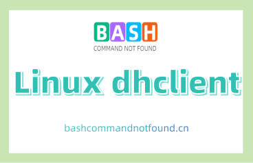 Linux dhclient命令教程：如何动态获取IP地址和其他网络配置信息（附实例详解和注意事项）