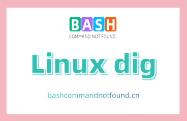 Linux dig命令教程：如何查询DNS记录（附实例详解和注意事项）