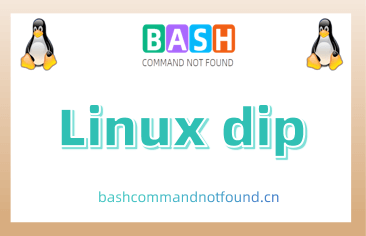 Linux dip命令教程：如何使用dip拨号连接SLIP服务器