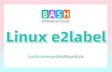 Linux e2label命令教程：如何管理ext2/ext3/ext4文件系统的卷标（附实例详解和注意事项）