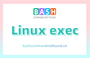 Linux exec命令教程：如何执行和替换命令（附实例详解和注意事项）