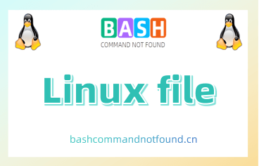 Linux file命令用法详解：如何判断文件类型和格式