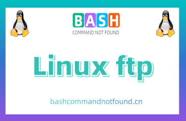 Linux ftp命令教程：如何使用命令行界面进行FTP文件传输