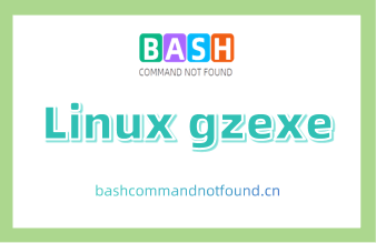 Linux gzexe命令用法详解：如何压缩和解压缩可执行文件（附实例教程和注意事项）