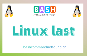 Linux last命令用法详解及实例：如何查看Linux系统的登录记录和运行状态
