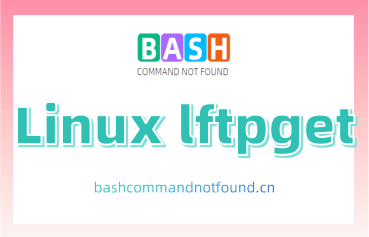 Linux lftpget命令教程：如何从远程服务器下载文件（附实例详解和注意事项）
