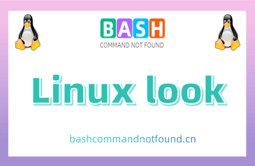 Linux look命令用法详解：如何在排序过的文件中查找以给定字符串开头的行