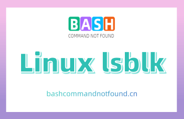 Linux lsblk命令教程：如何列出和管理Linux系统的存储设备（附案例详解和注意事项）
