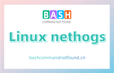 Linux nethogs命令教程：专业监控进程网络流量（附常见实例和注意事项）