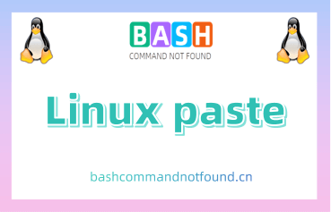 Linux paste命令教程：如何快速合并文件内容