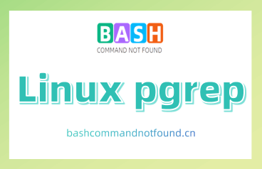 Linux pgrep命令教程：精确进程搜索与管理（附实例详解和注意事项）