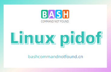 Linux pidof命令教程：如何找到运行程序的进程ID（附实例详解和注意事项）