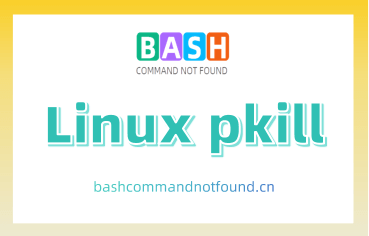 Linux pkill命令教程：如何更灵活的杀死进程（附案例详解和注意事项）