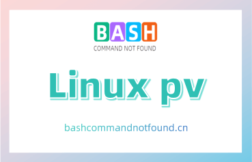 Linux pv命令教程：掌握数据流可视化（附实例详解和注意事项）