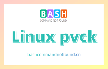 Linux pvck命令教程：如何验证和修复LVM物理卷（附案例详解和注意事项）