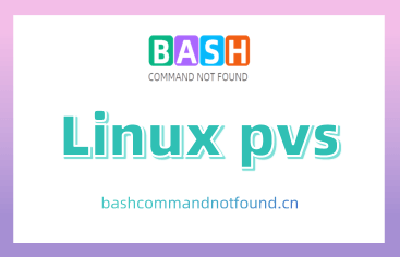 Linux pvs命令教程：如何获取LVM物理卷状态信息（附案例详解和注意事项）