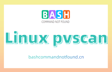 Linux pvscan命令教程：扫描所有块设备，识别LVM物理卷（附实例详解和注意事项）