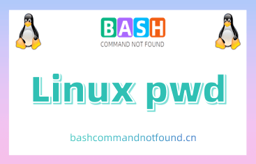 Linux pwd命令教程：如何显示当前工作目录的路径