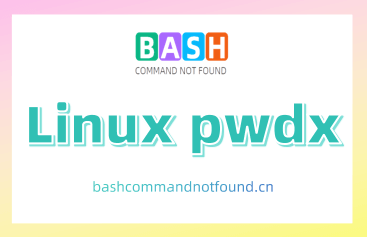 Linux pwdx命令教程：追踪进程工作目录（附实例详解和注意事项）