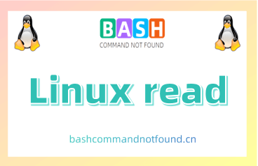Linux read命令教程：如何从标准输入或文件描述符中读取值并赋给变量