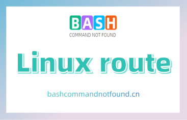 Linux route命令教程：管理内核的 IP 路由表(附实例详解和注意事项)
