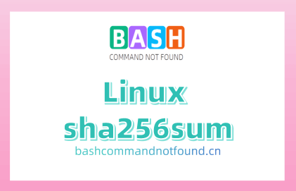 Linux sha256sum命令教程：如何验证文件完整性（附实例详解和注意事项）
