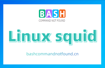 Linux squid命令教程：squid代理服务器的安装与配置（附实例详解和注意事项）