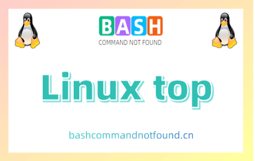 Linux top命令用法详解：如何监控Linux系统和进程内存和CPU使用情况