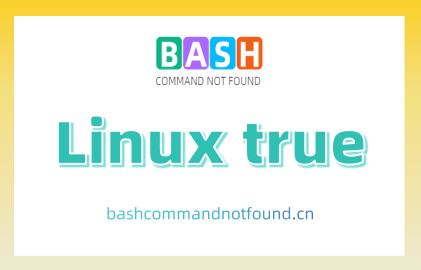 Linux true命令教程：如何使用true命令在脚本中控制逻辑(附实例详解和注意事项)