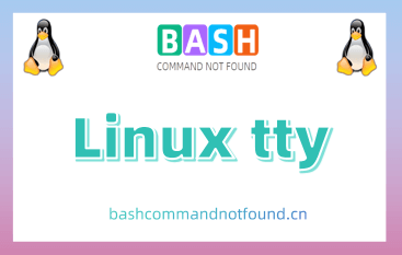 Linux tty命令用法详解：如何查看和切换终端设备