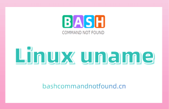Linux uname命令教程：如何获取操作系统和硬件基本信息（附实例和注意事项）