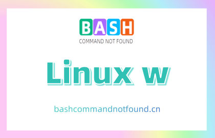 Linux w命令教程：实时监控用户活动与系统状态（附案例详解和注意事项）