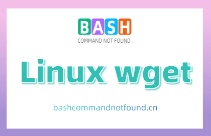 Linux wget命令教程：从网络上下载文件的神器（附案例详解和注意事项）