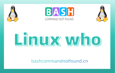 Linux who命令用法详解：如何查看当前登录用户信息和系统状态