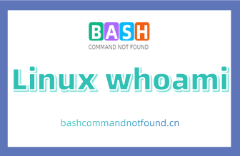 Linux whoami命令详解：显示当前登录用户的用户名（附实例教程和注意事项）
